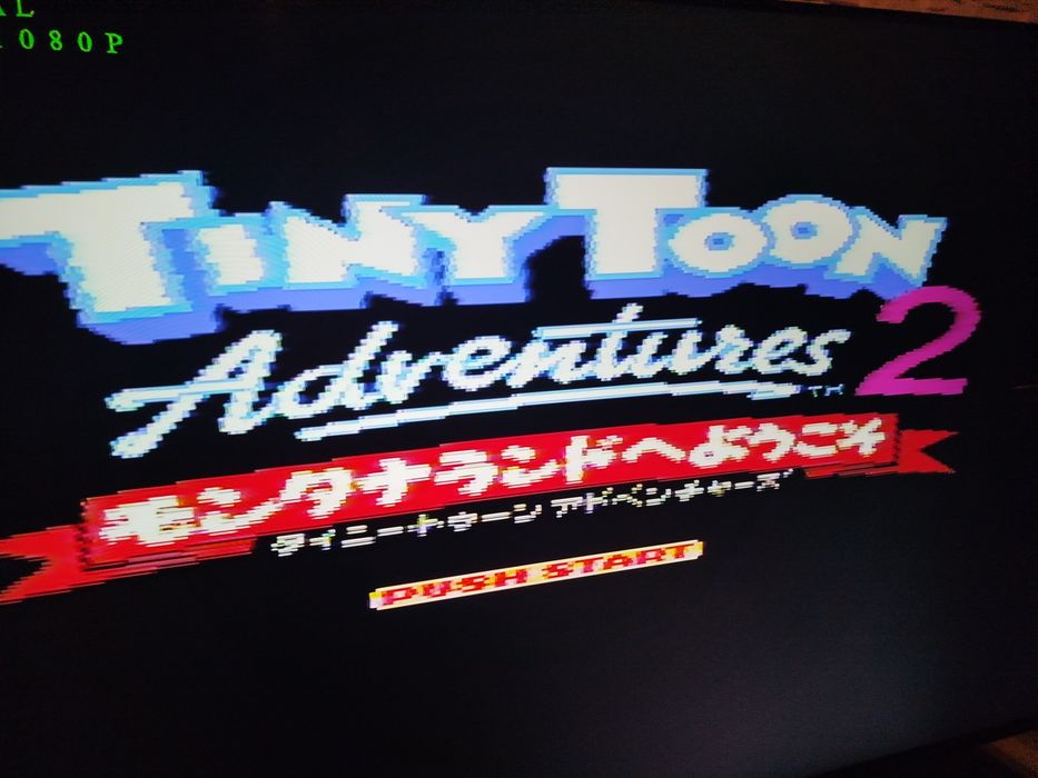 Gra Pegasus Tiny Toon 2