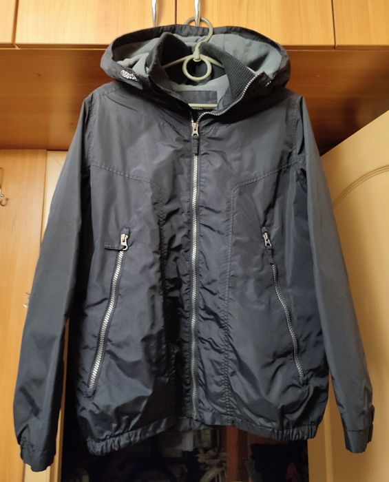 Вітровка хлопчача