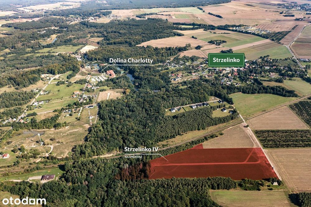 OSTATNIA DZIAŁKA - Strzelinko - komplet uzbrojenia