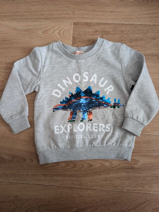 Світшот реглан кофта на флісі для хлопчика Silversun  Некст,  92 см