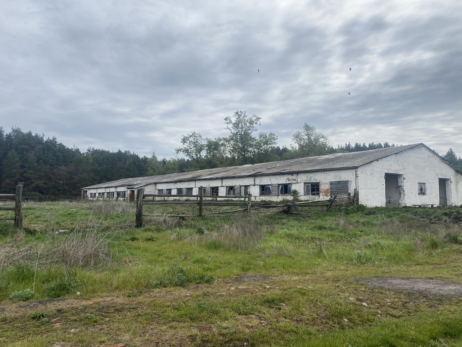 Продам корівник, Клюшечник 21й, 18й
