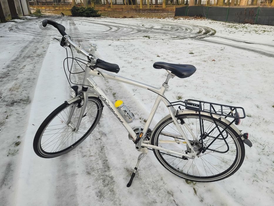 Rower męskie Diamant