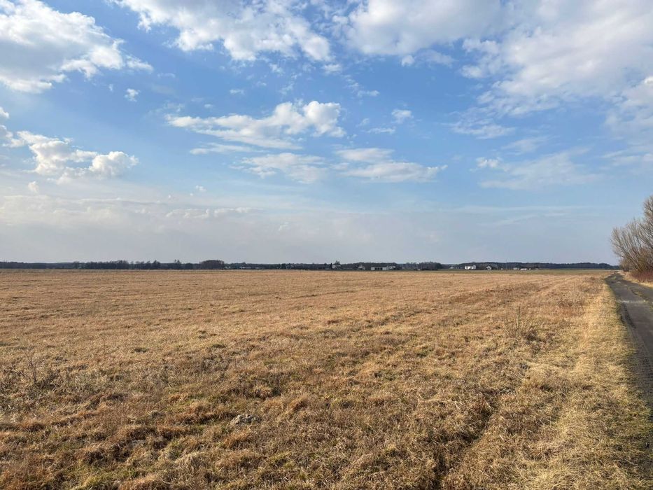 Działka budowlana Jankowice w Gminie Jedlińsk, piękna okolica, MPZP! PILNE! - Widok 2