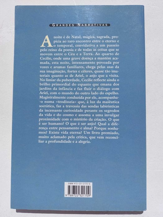 Livro de Jostein Gaarder "O Enigma e o Espelho"