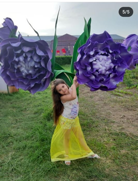 Шорти + фатинова юбка 5р