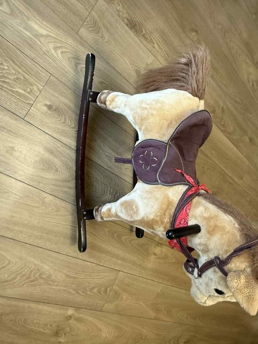konik na biegunach
