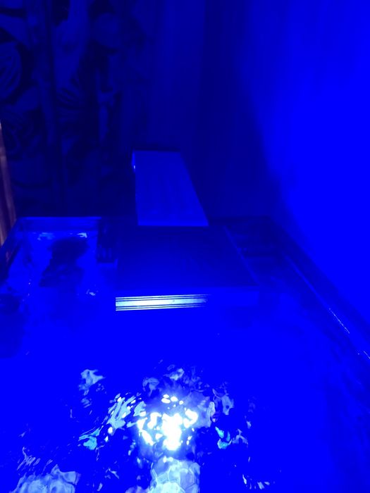 Iluminação aquario marinho