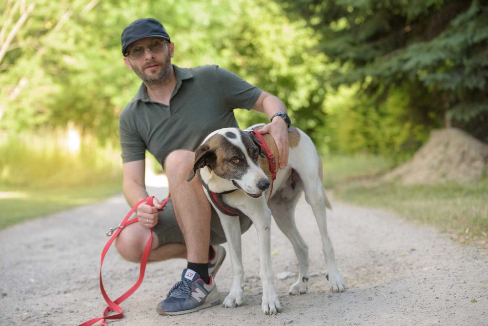 Karl - duży, aktywny w typie pointera