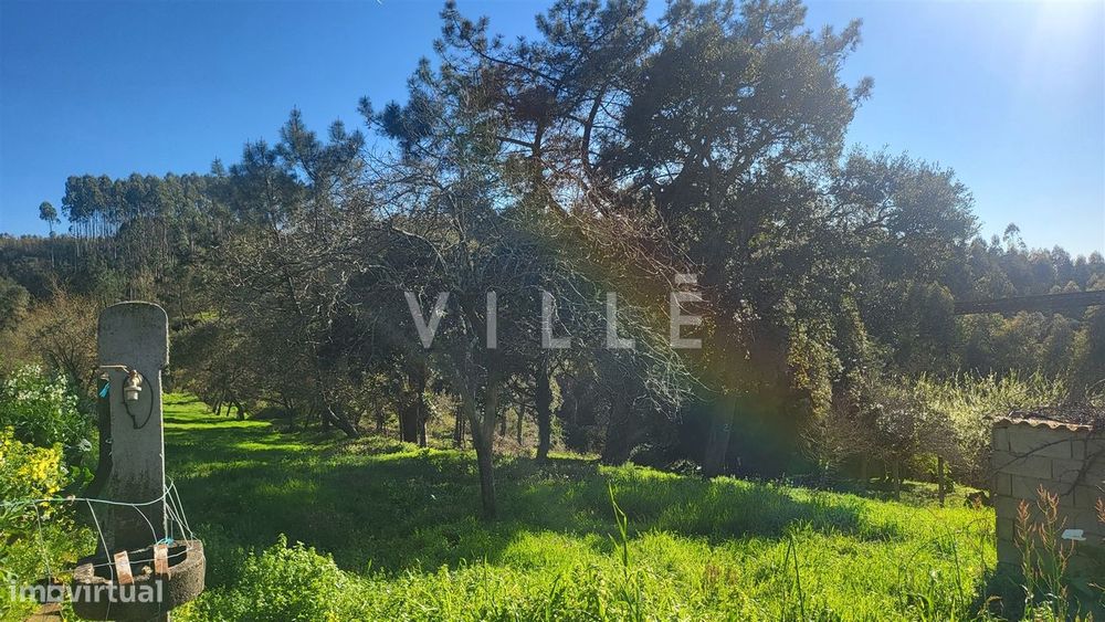 Terreno  Venda em Préstimo e Macieira de Alcoba,Águeda