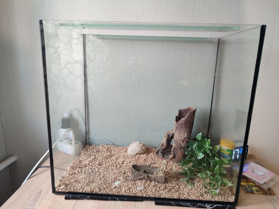 аквариум/террариум