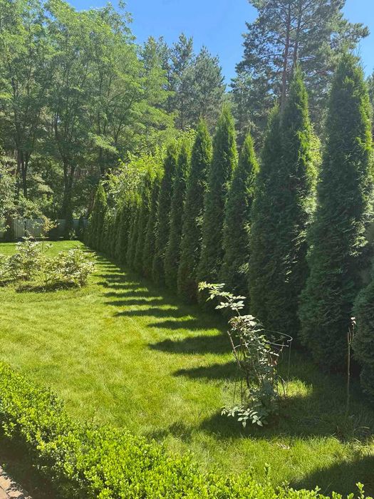 Дом по адресу ул. Лукьяненко Левка(Тимошенко) (площадь 150,5 м²) - Atlanta.ua - фото 11