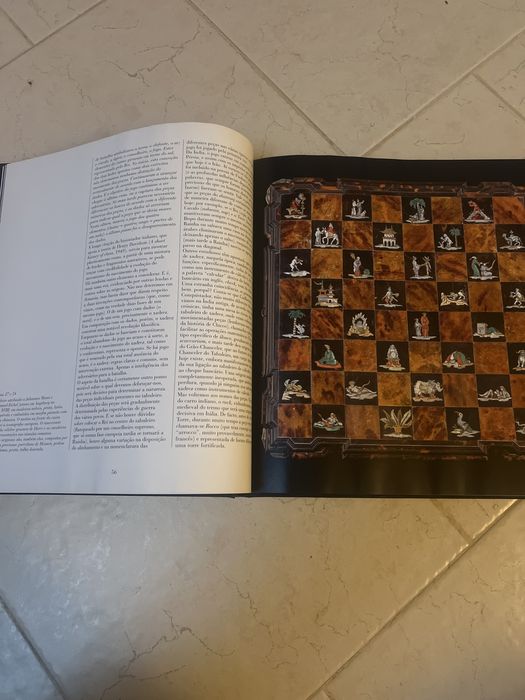 Livro - O xadrez e o cérebro