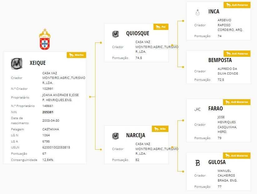 Garanhão Lusitano Pontuado