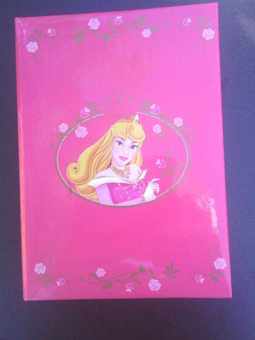 Sou uma Adolescente aborda a Educação Sexual \ Livro sobre Sida