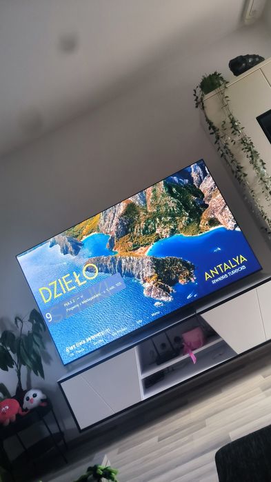 Telewizor LG OLED 77 dodatkowo gwarancja
