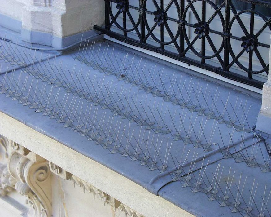 Espigões anti-pombo 4 hastes, protecção até 23 cm de largura