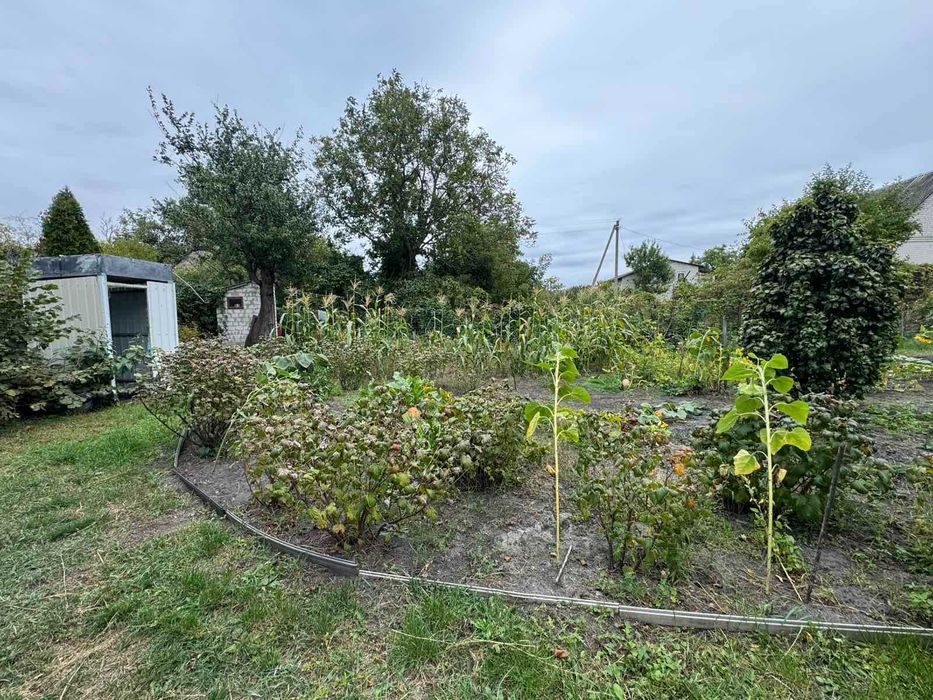 Райська дача з власним виходом до річки біля Чехівки!