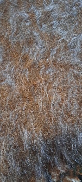 Пухова хустина оренбурзька