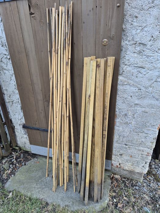 Paliki ,podpórki do pomidorów