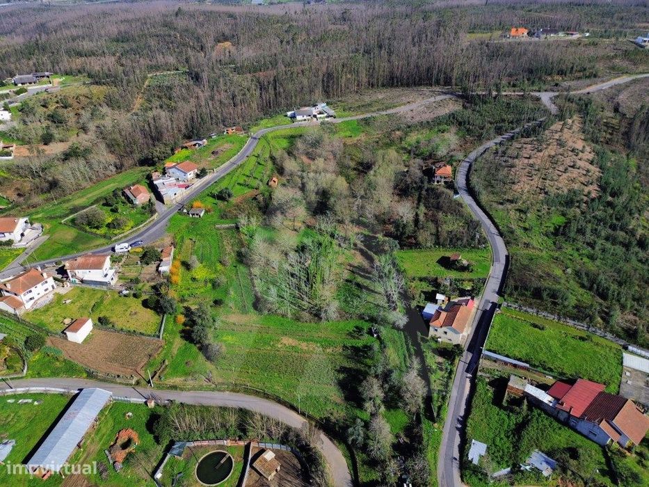 Terreno em Jafafe - Macinhata do Vouga