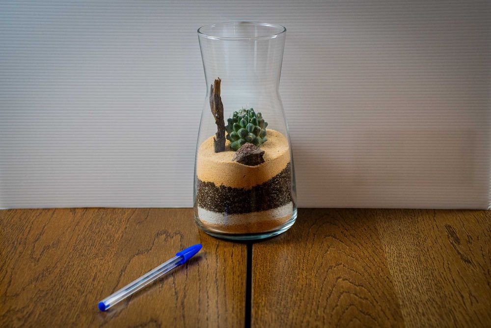 Mini terrário de cacto em jarra de vidro 20 cm – decoração / presente
