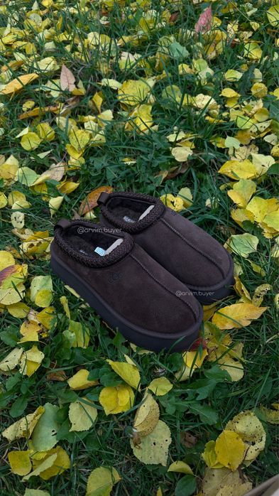 Ugg tazz угг уггі ugg
