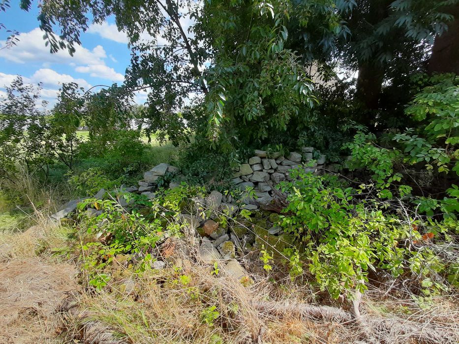 Oddam kamienie, cegły