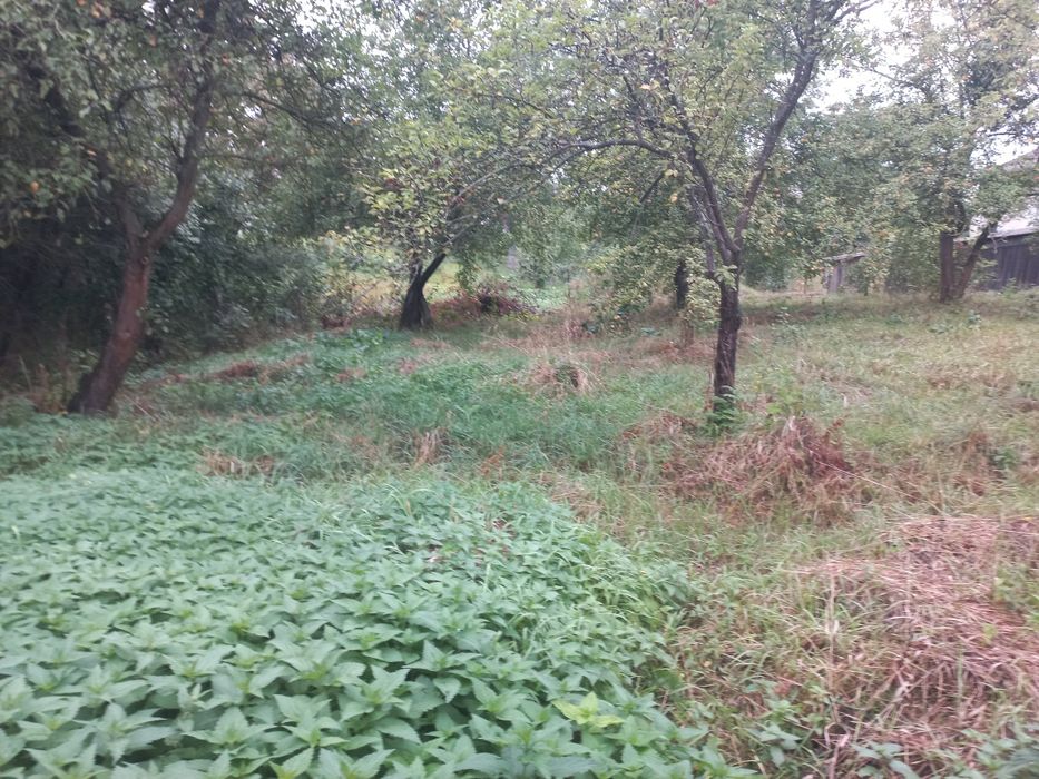 Продаж! Будинок  біля Івано- Франківська