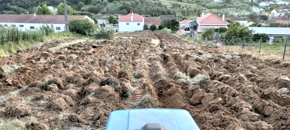 Serviços agrícolas