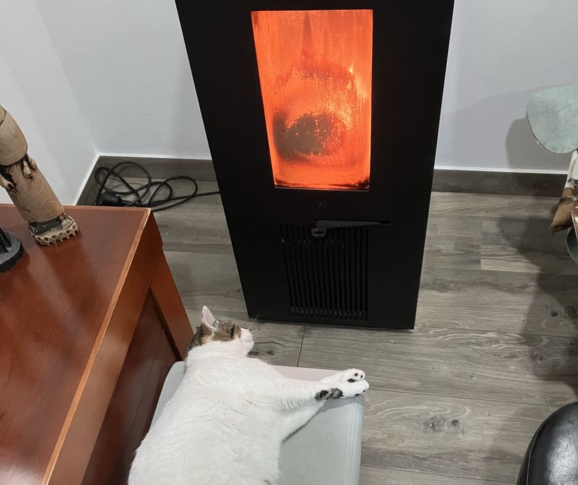 Salamandra a pellets com 3 anos