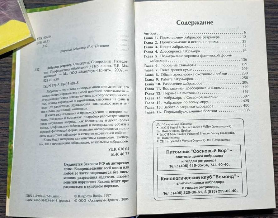 Лабрадор ретривер. Стандарты. Содержание. Разведение