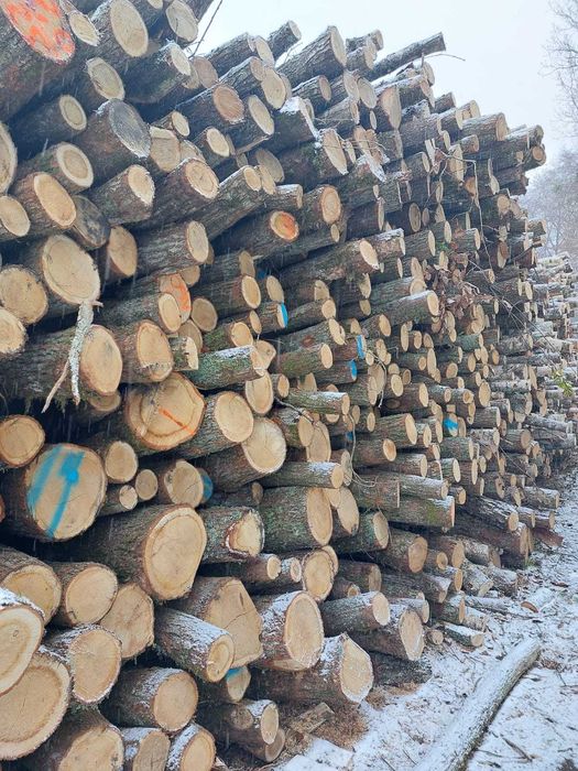 Drewno opałowe kominkowe dąb buk brzoza sosna transport gratis
