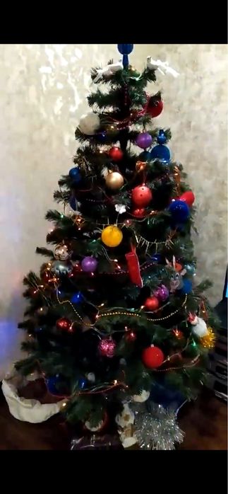 Ялинка декоративна.