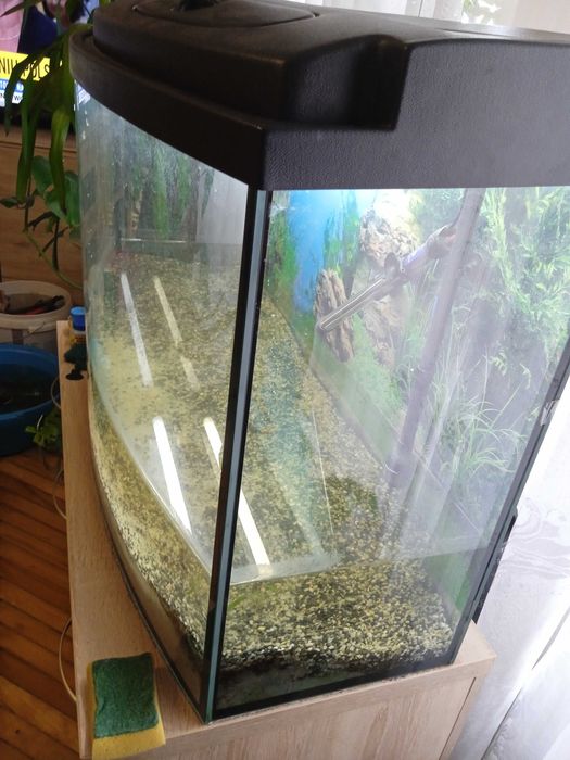 Super akwarium 250 l !!!