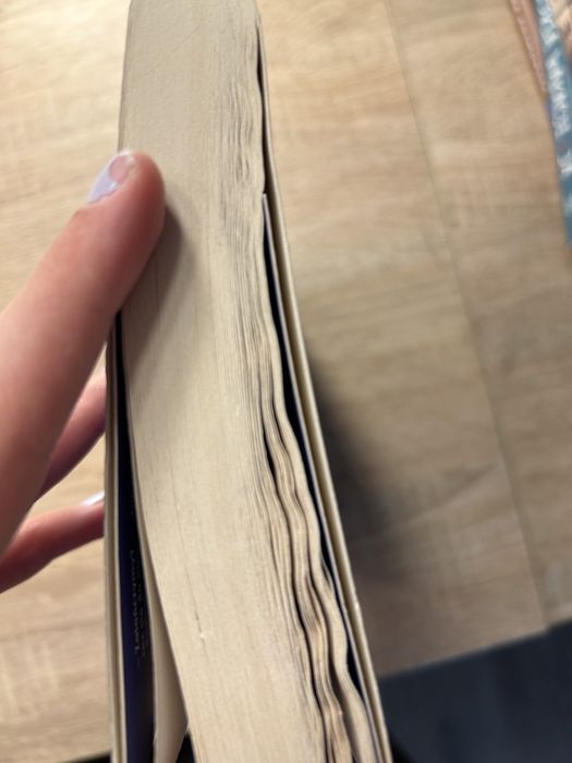 Książka 12 dni świat Dasha i Lily