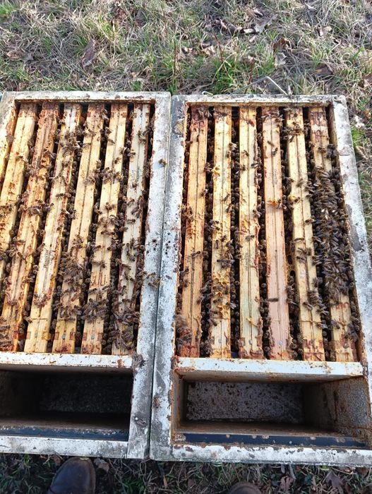 Przezimowanie rodziny