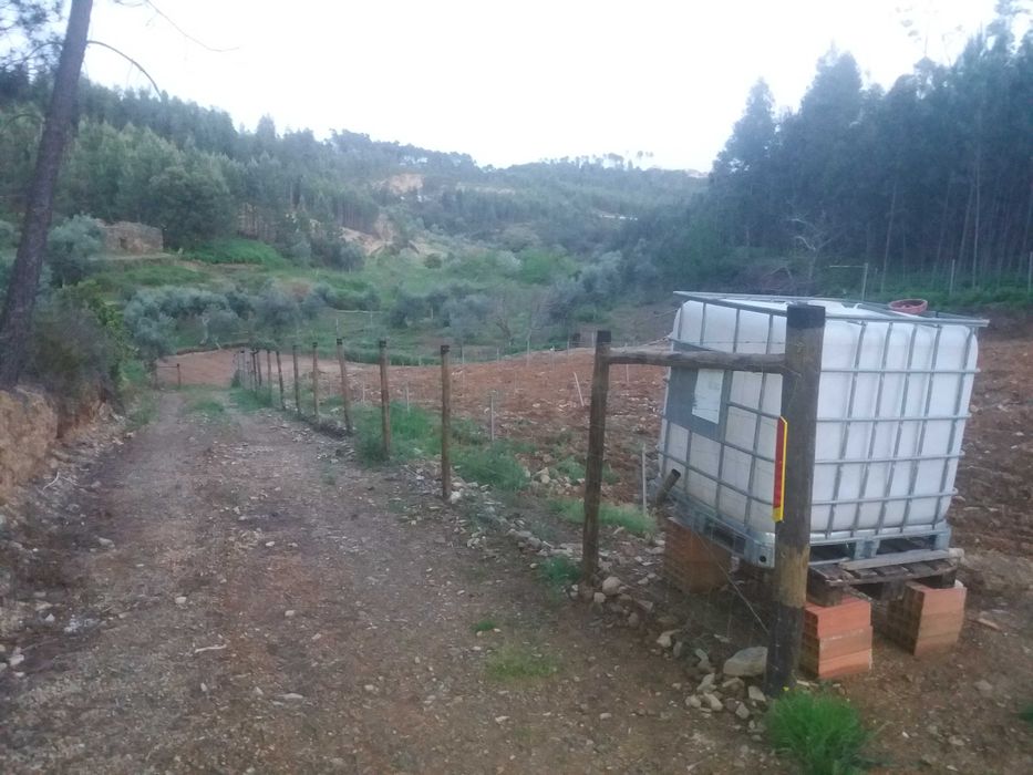 Vedações rede ovelheira e outras