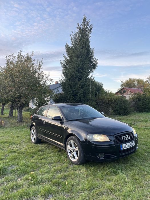 Audi A3 8P 1.9TDI