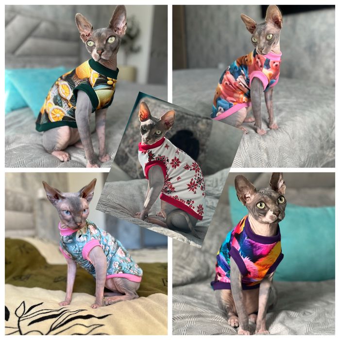 Одяг для котів Сфінксів