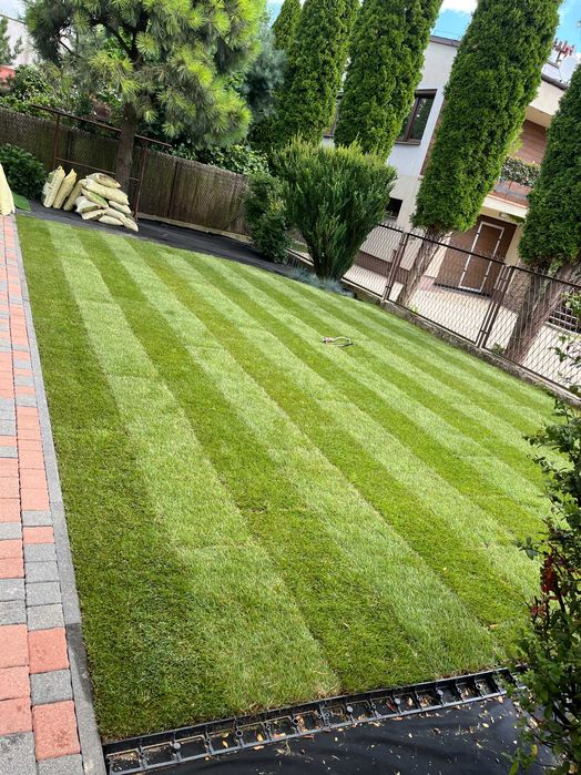 Zakładanie trawników rolka humus siane siatka krety systemy nawadniają