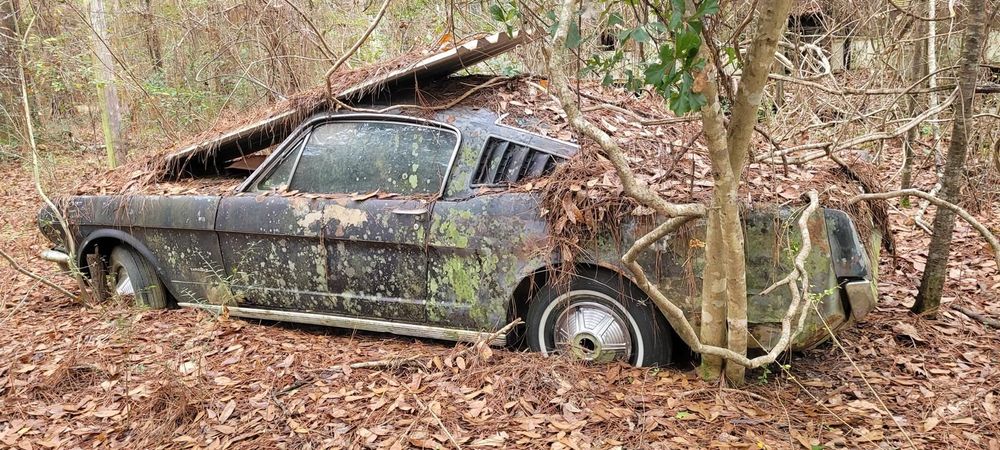 Ford Mustang Najtańszy Oryginalny Ford Mustang Fastback 1965 MANUAL