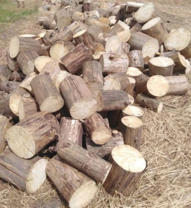 Drewno drzewo kominkowe opałowe wałki Grab Dąb Buk Brzoza  Olcha