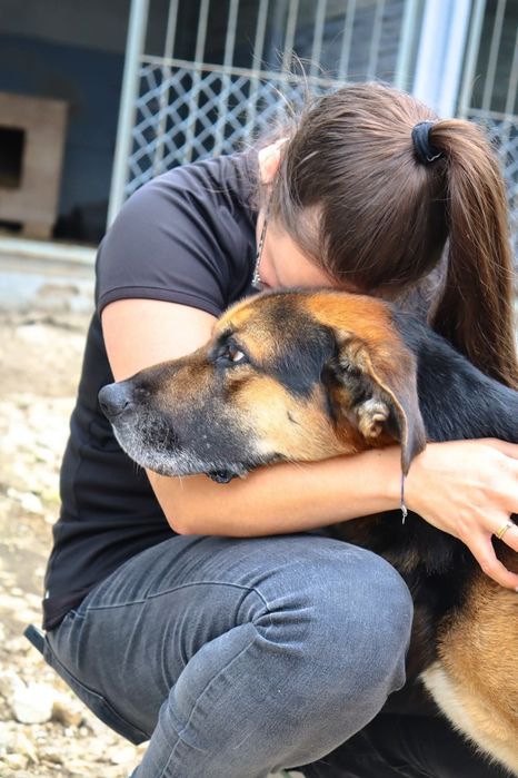 Mike - najsmutniejsze oczy za kratami