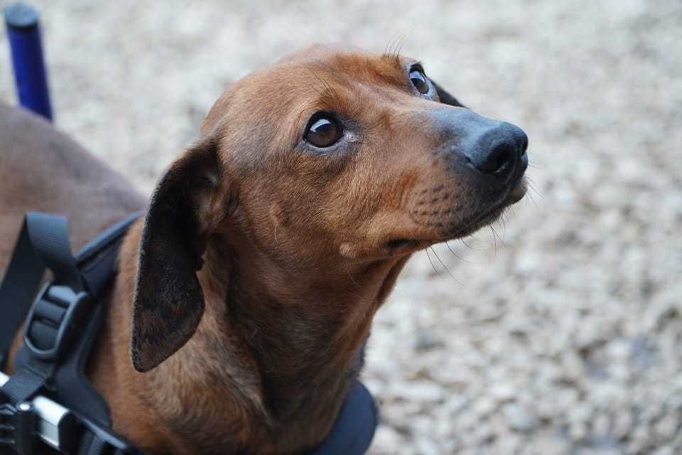 Blues - serce większe niż jego trudności