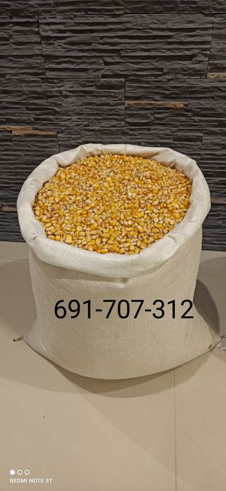 Kukurydza sucha workowania big bag mielona luz wysyłka