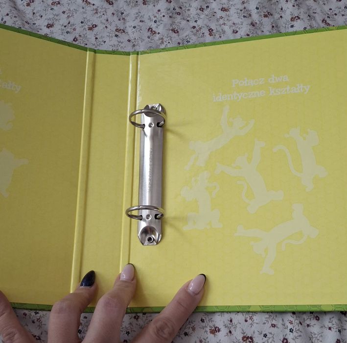 segregator Kubuś Puchatek