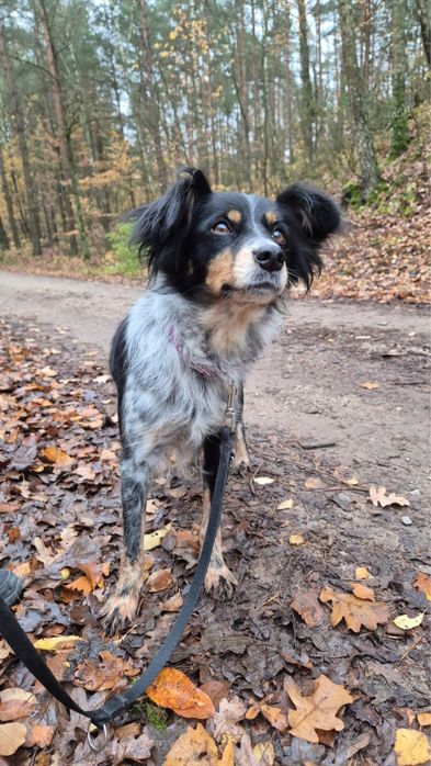 Sunia Maciejka ponownie szuja domu