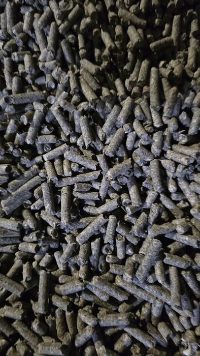 Wysłodki peletowane