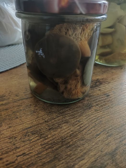 Marynowane rydze tegoroczne