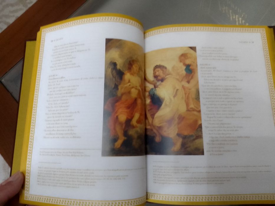 Bíblia Sagrada em 12 volumes